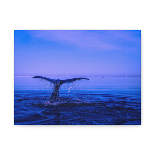 Whale Tail Matte Canvas Print — Ocean Sunset Wall Art