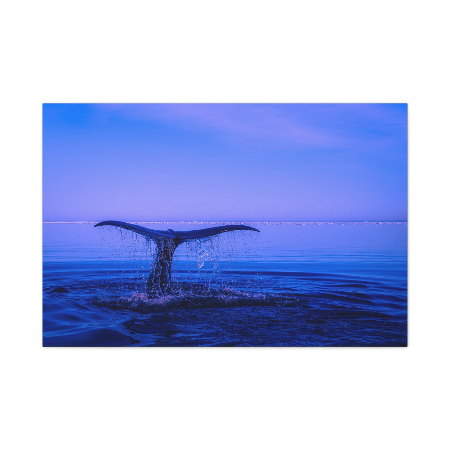 Whale Tail Matte Canvas Print — Ocean Sunset Wall Art