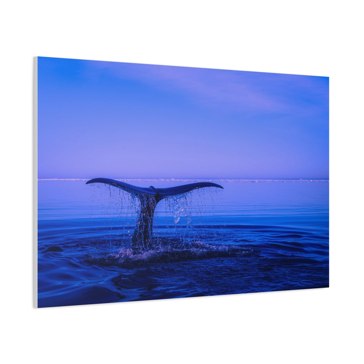Whale Tail Matte Canvas Print — Ocean Sunset Wall Art