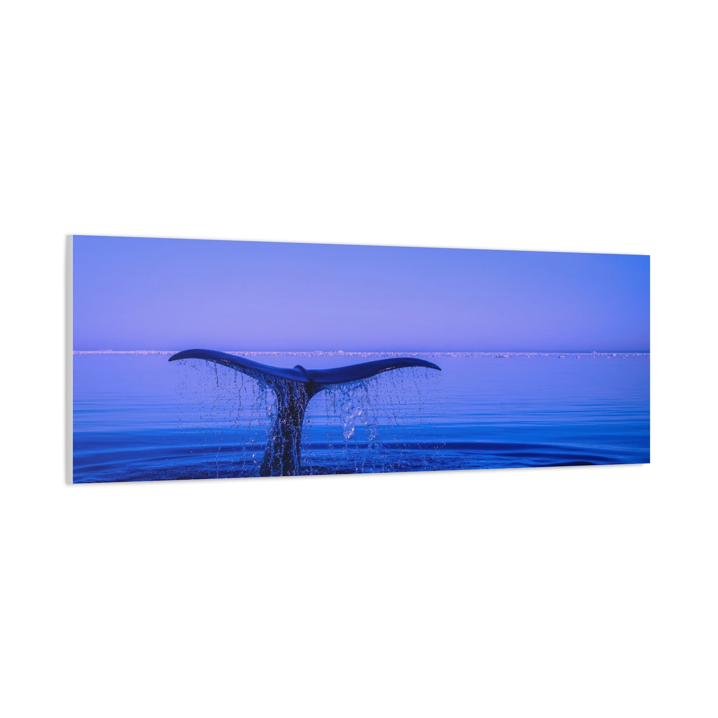 Whale Tail Matte Canvas Print — Ocean Sunset Wall Art