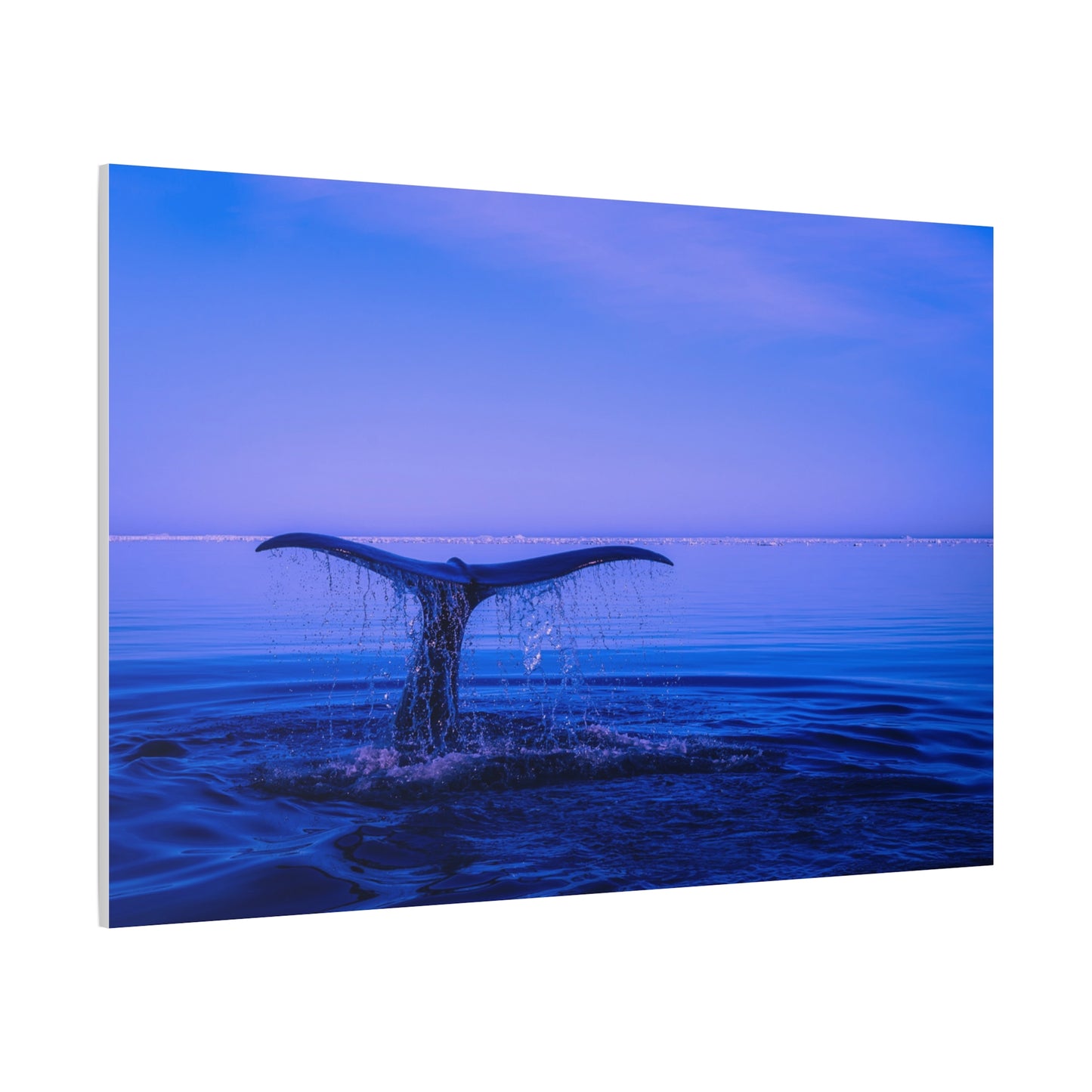 Whale Tail Matte Canvas Print — Ocean Sunset Wall Art