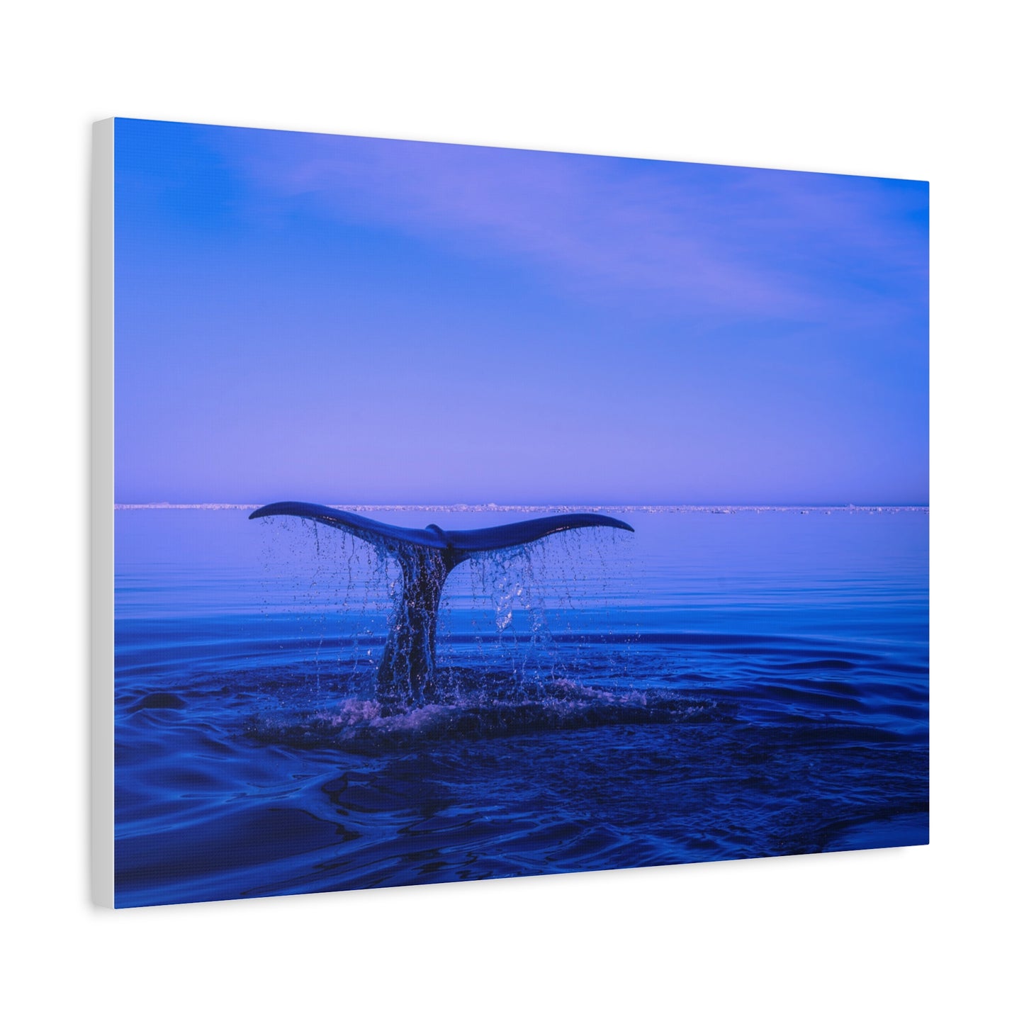 Whale Tail Matte Canvas Print — Ocean Sunset Wall Art