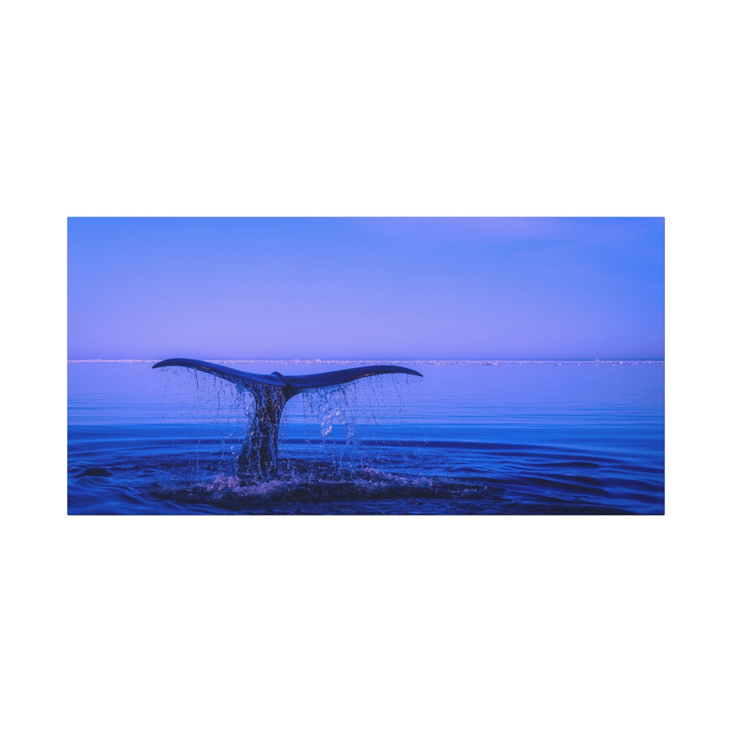 Whale Tail Matte Canvas Print — Ocean Sunset Wall Art