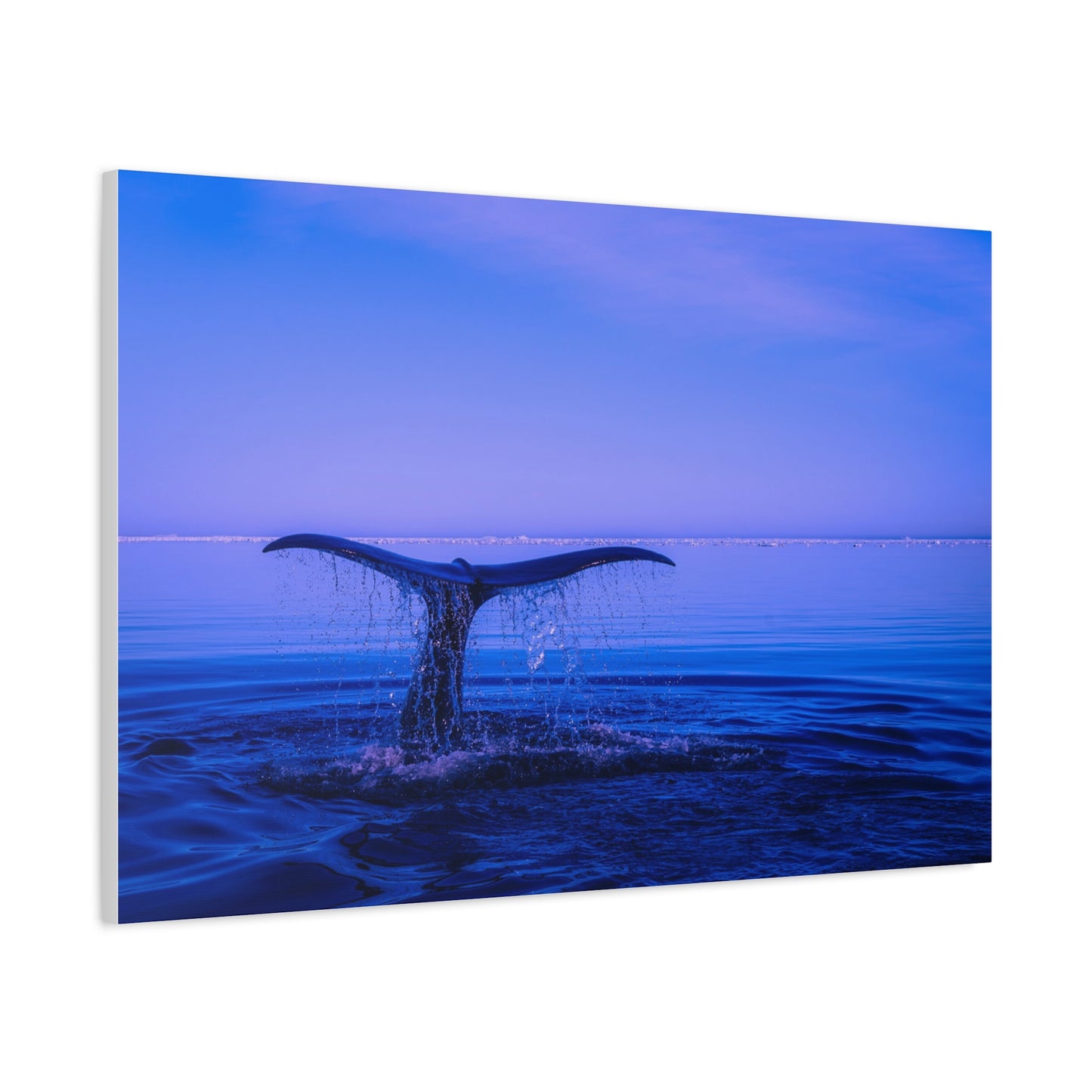Whale Tail Matte Canvas Print — Ocean Sunset Wall Art