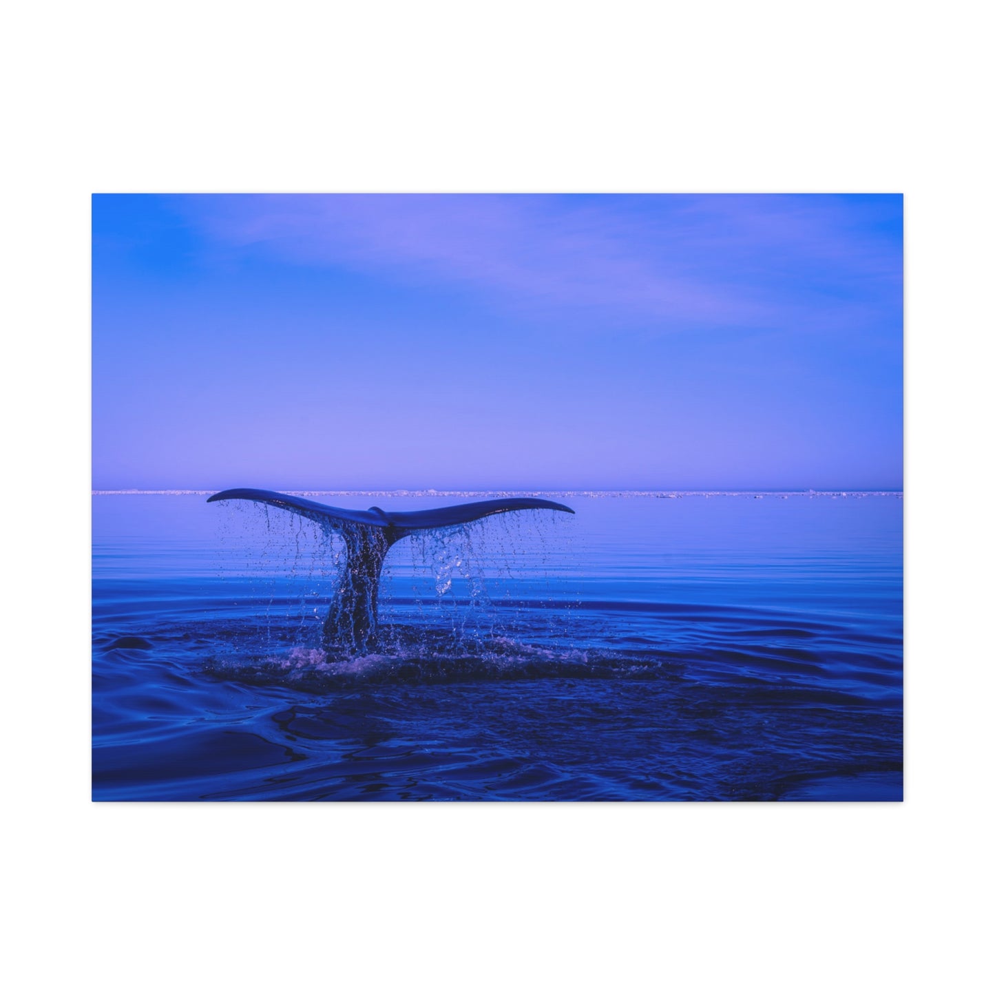 Whale Tail Matte Canvas Print — Ocean Sunset Wall Art