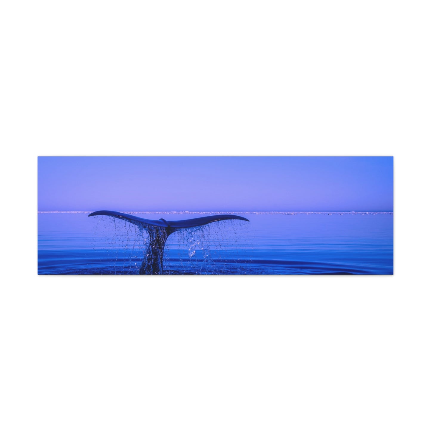 Whale Tail Matte Canvas Print — Ocean Sunset Wall Art