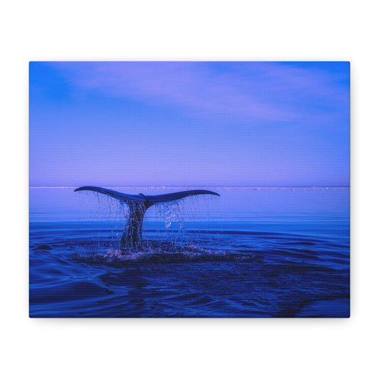 Whale Tail Matte Canvas Print — Ocean Sunset Wall Art