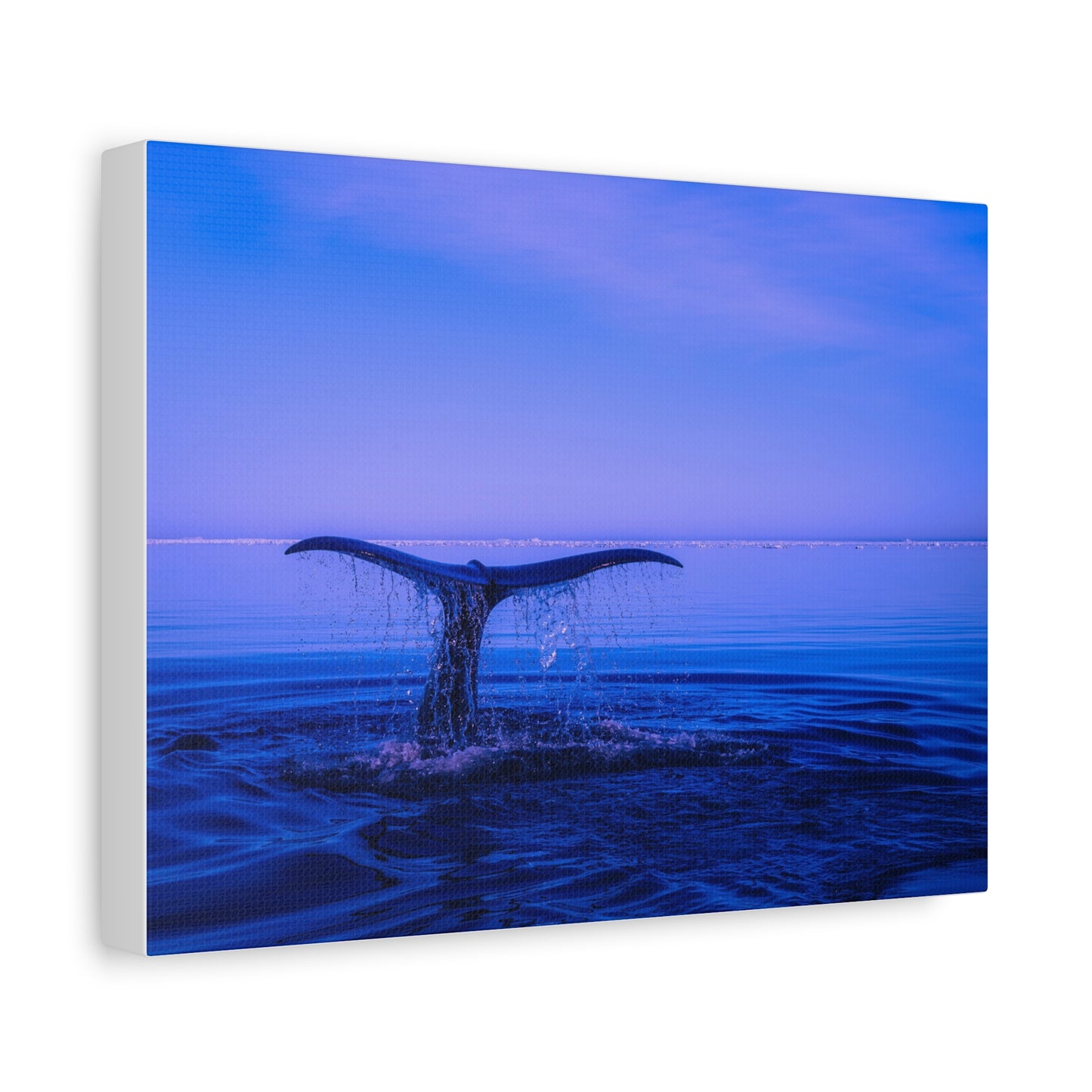 Whale Tail Matte Canvas Print — Ocean Sunset Wall Art