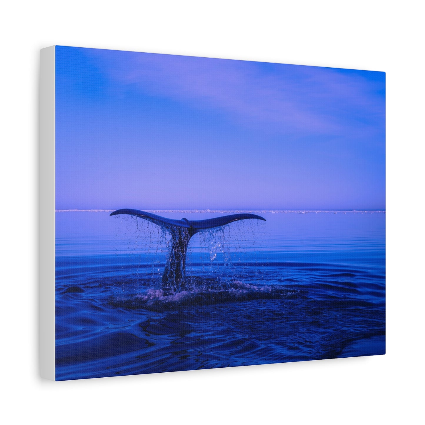 Whale Tail Matte Canvas Print — Ocean Sunset Wall Art