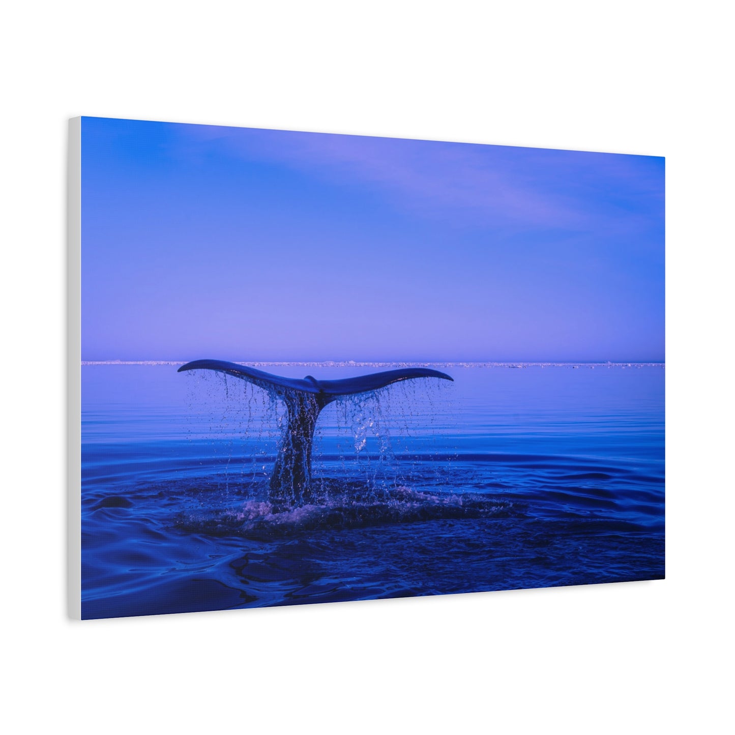 Whale Tail Matte Canvas Print — Ocean Sunset Wall Art