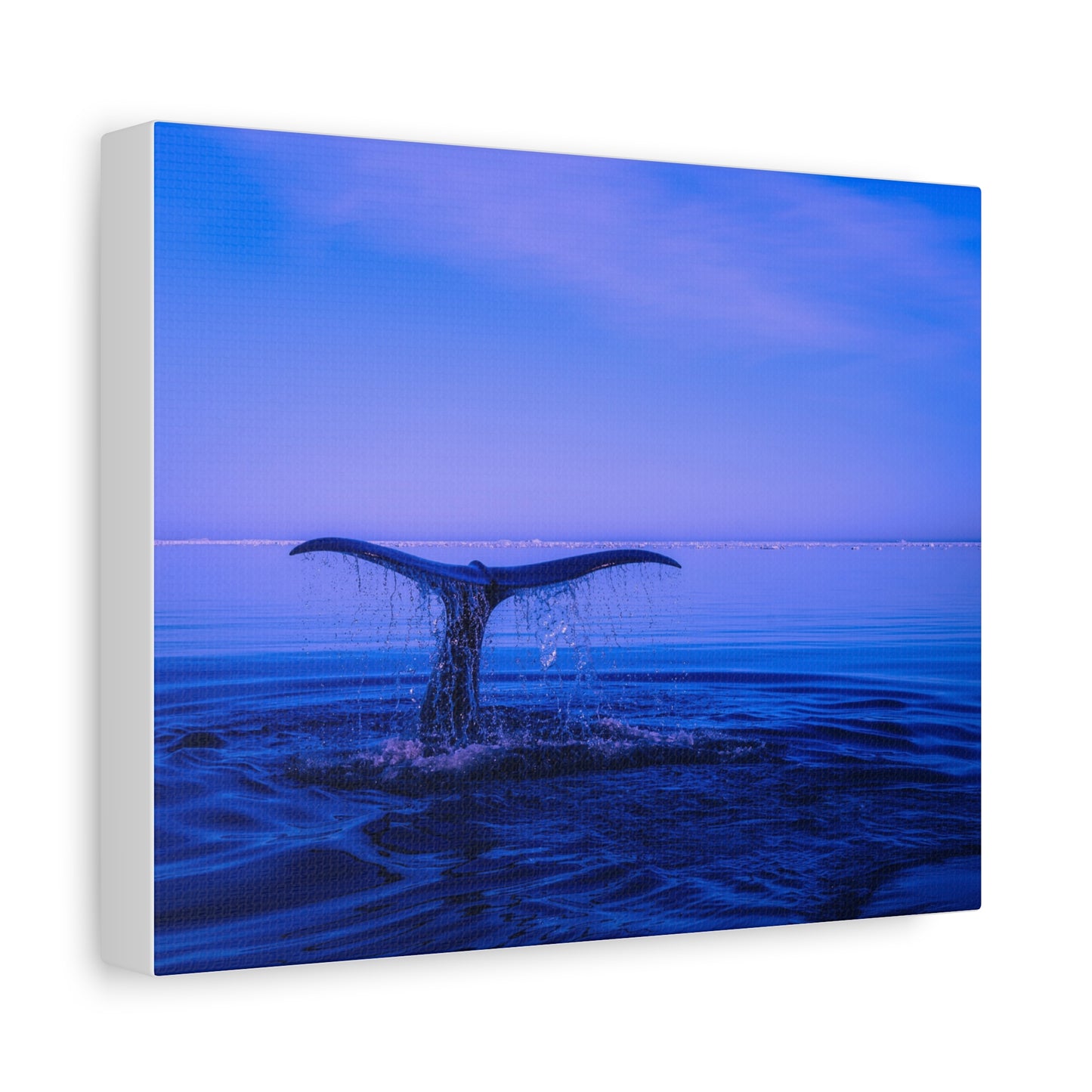 Whale Tail Matte Canvas Print — Ocean Sunset Wall Art