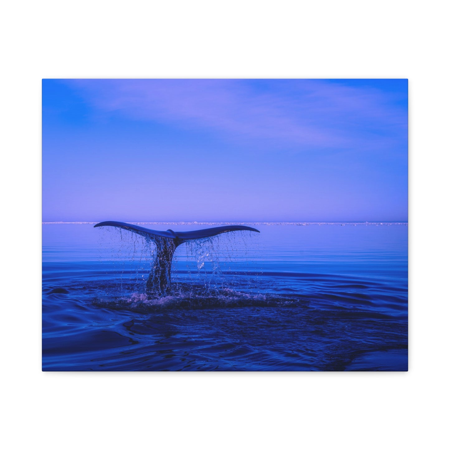 Whale Tail Matte Canvas Print — Ocean Sunset Wall Art