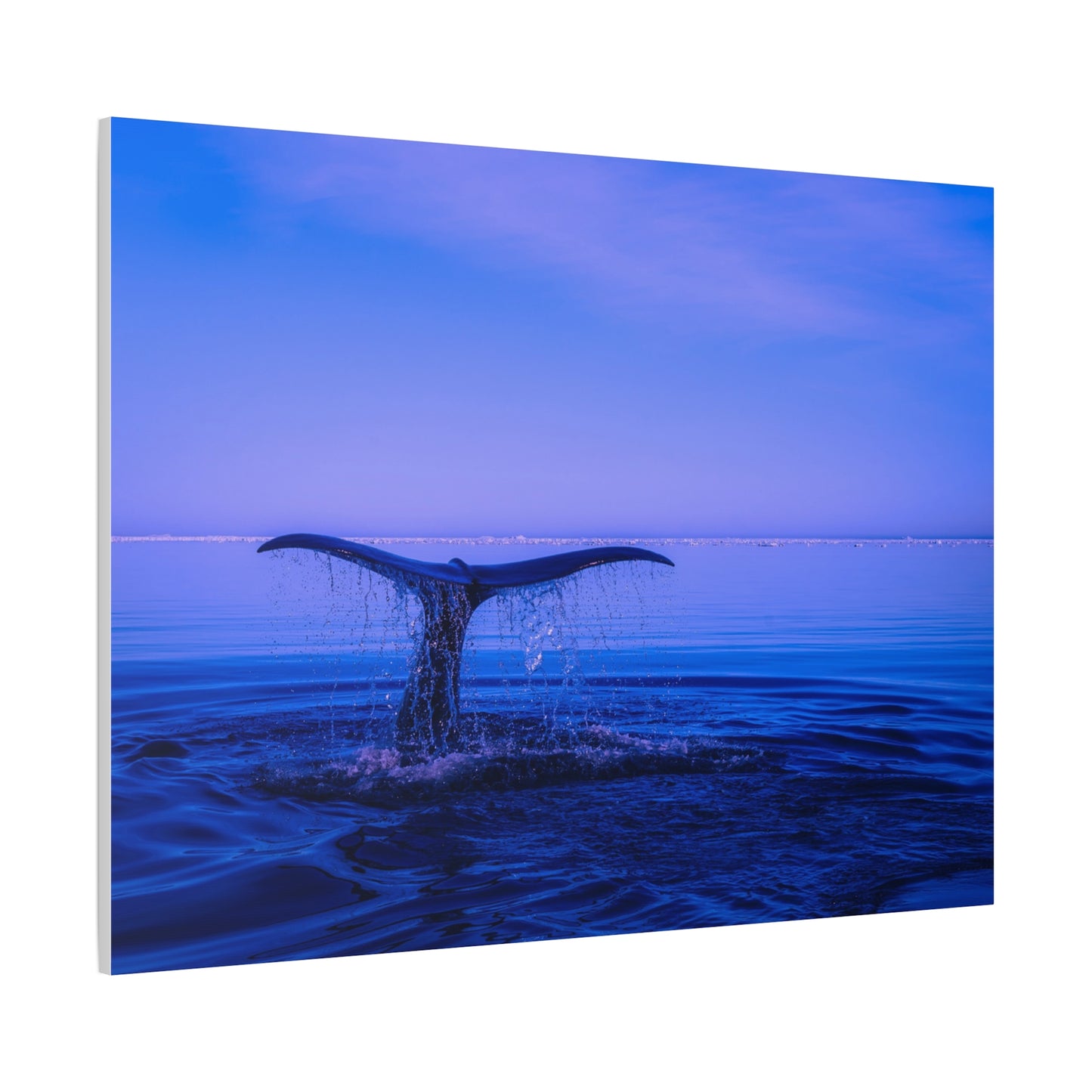 Whale Tail Matte Canvas Print — Ocean Sunset Wall Art