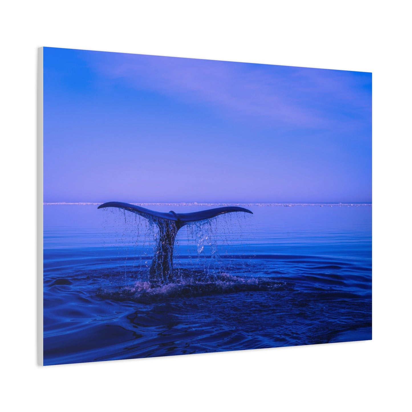 Whale Tail Matte Canvas Print — Ocean Sunset Wall Art
