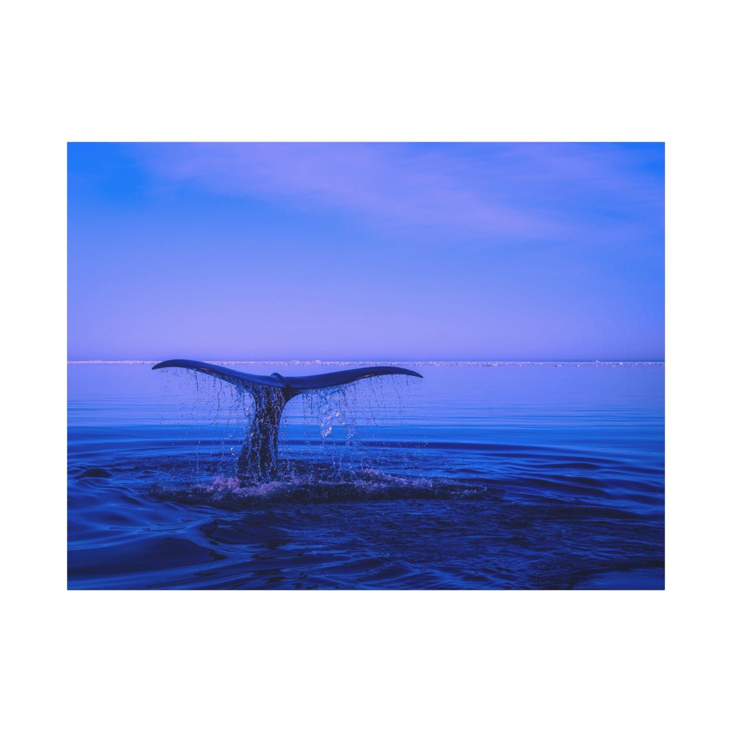 Whale Tail Matte Canvas Print — Ocean Sunset Wall Art