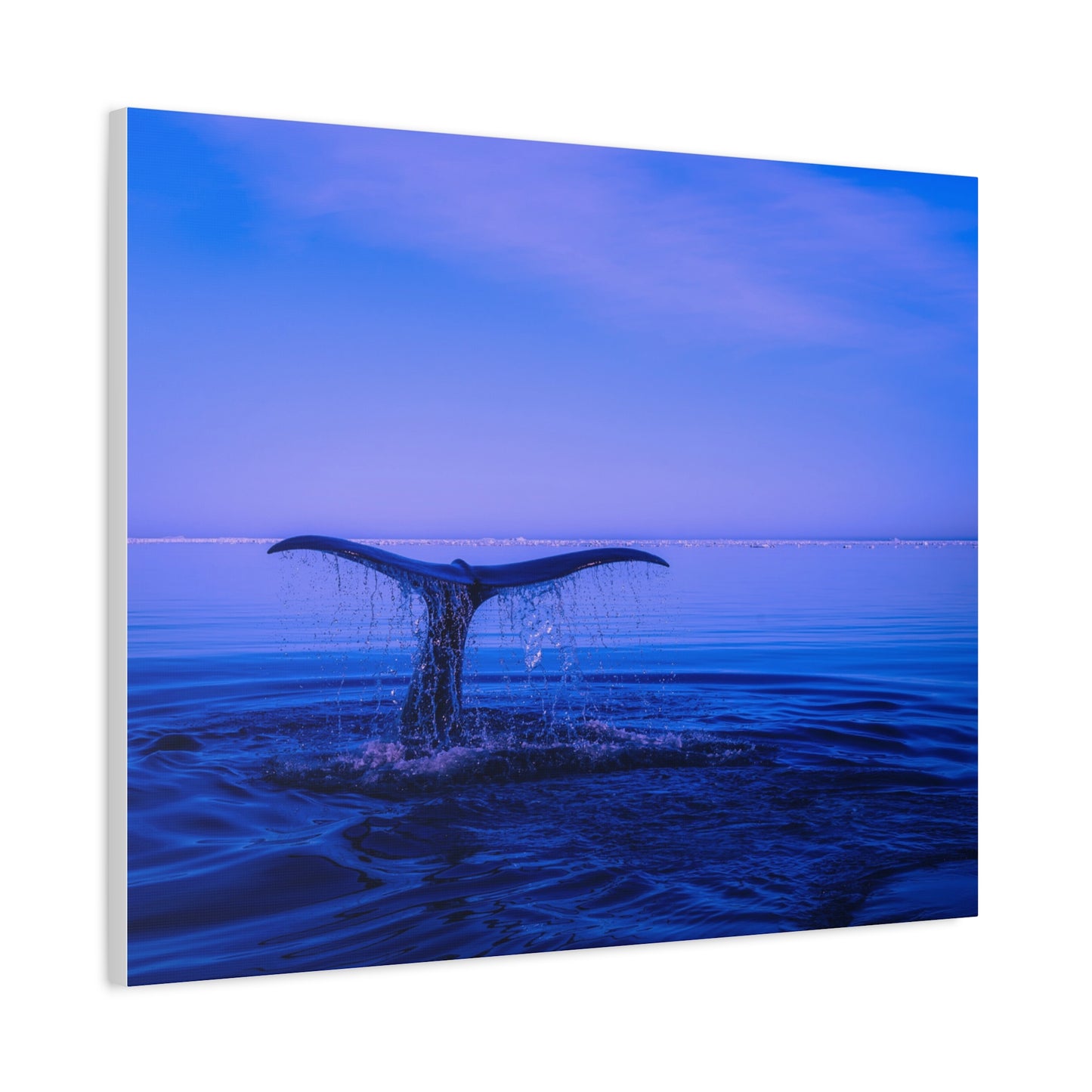 Whale Tail Matte Canvas Print — Ocean Sunset Wall Art