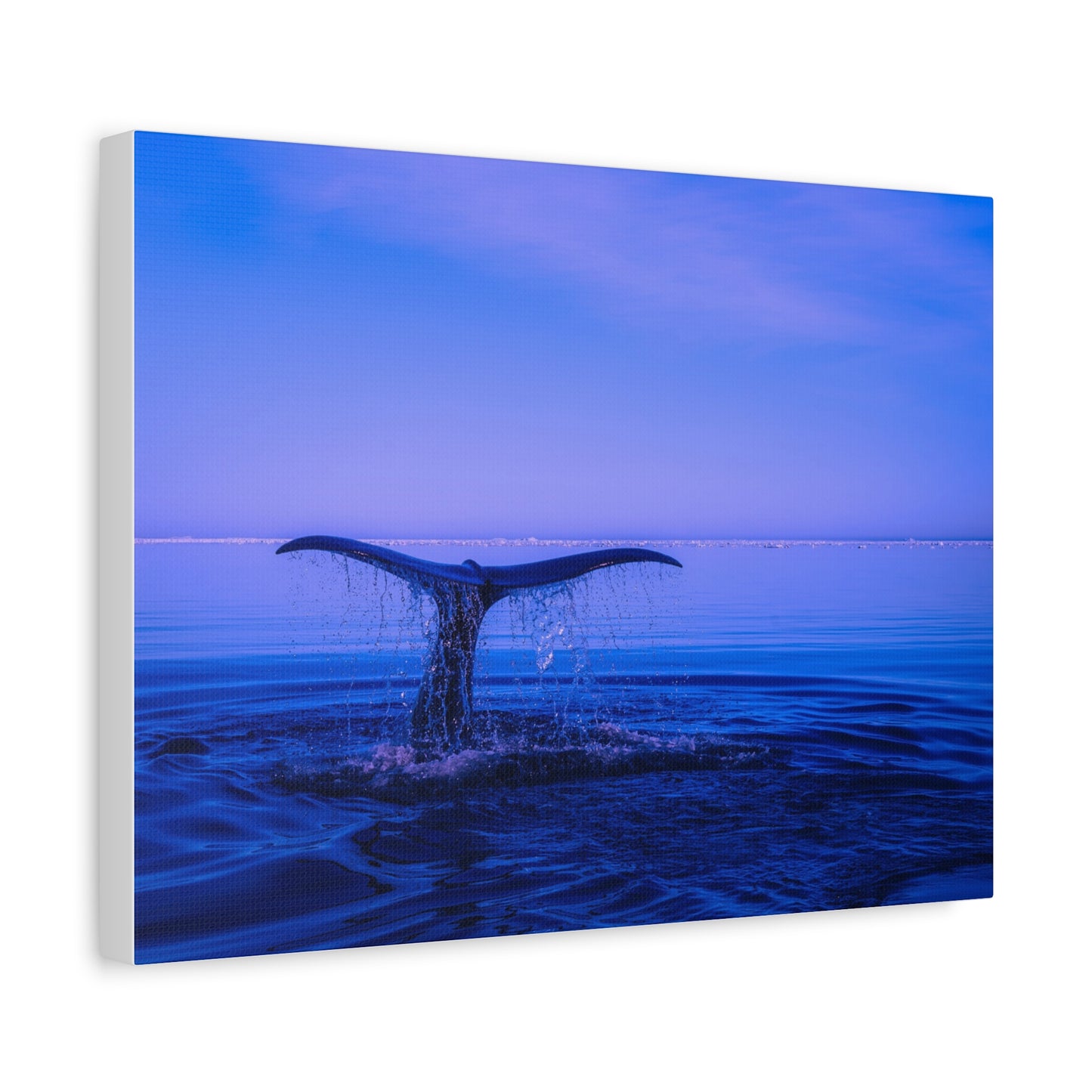 Whale Tail Matte Canvas Print — Ocean Sunset Wall Art