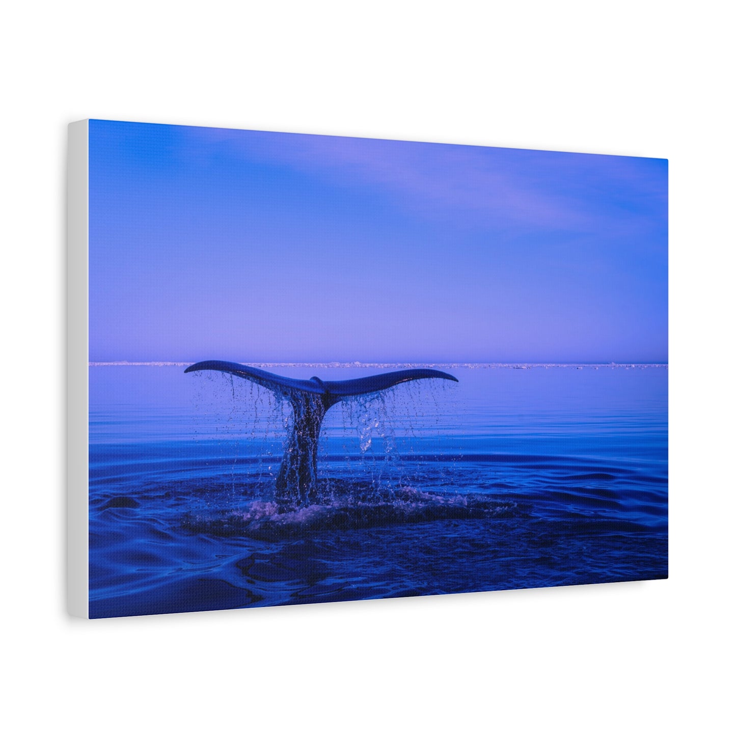Whale Tail Matte Canvas Print — Ocean Sunset Wall Art