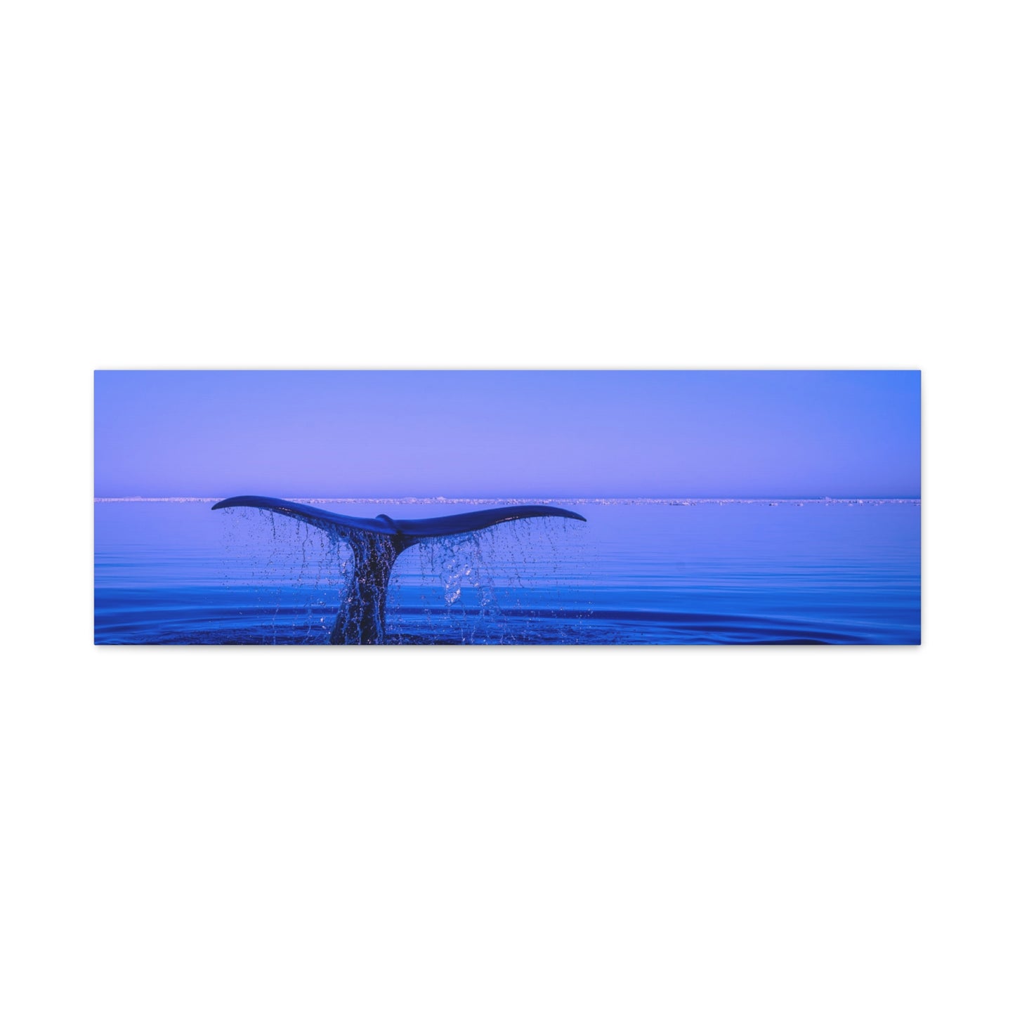 Whale Tail Matte Canvas Print — Ocean Sunset Wall Art