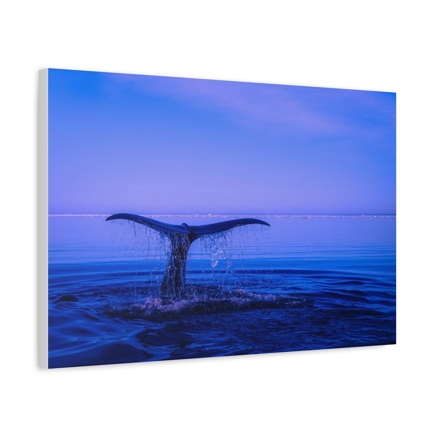 Whale Tail Matte Canvas Print — Ocean Sunset Wall Art