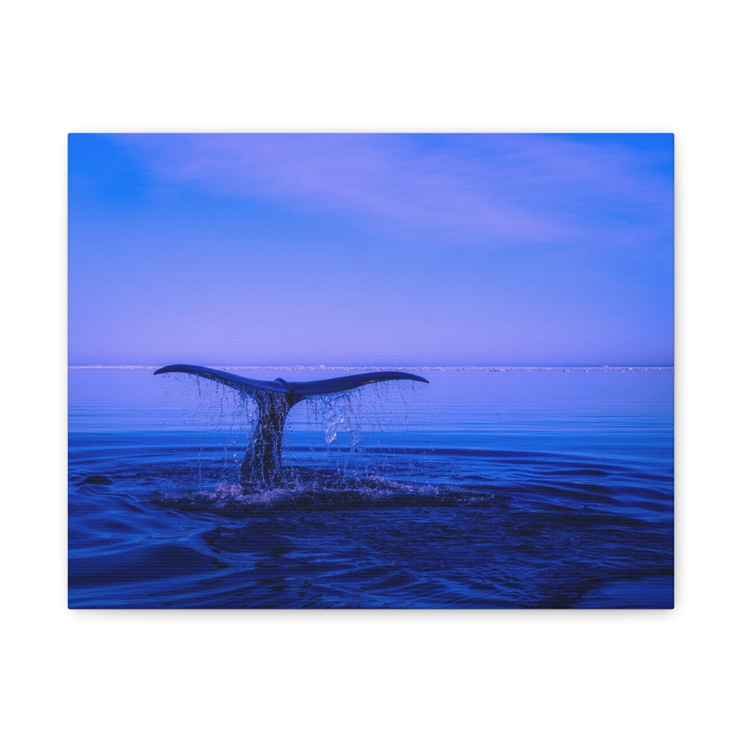 Whale Tail Matte Canvas Print — Ocean Sunset Wall Art