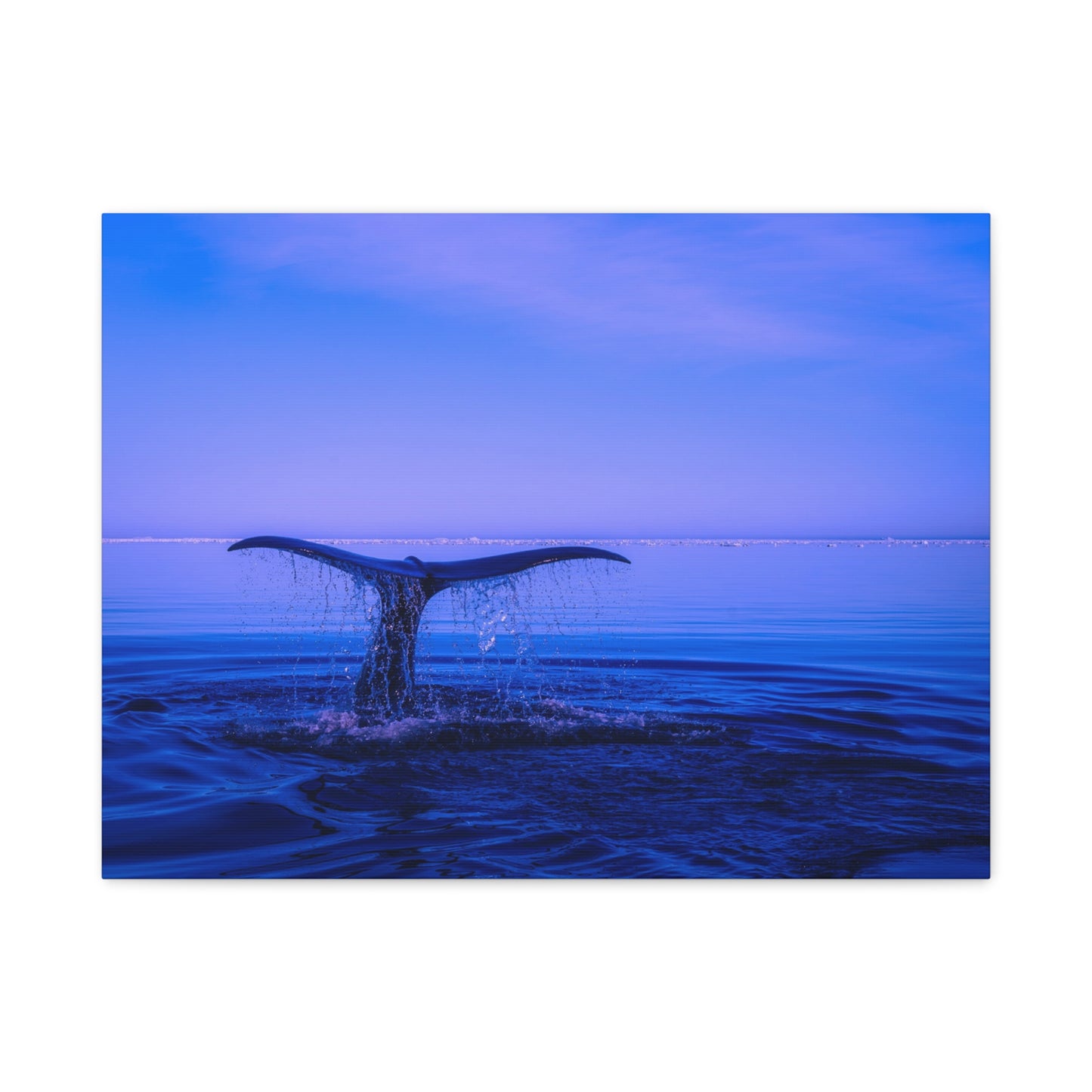 Whale Tail Matte Canvas Print — Ocean Sunset Wall Art