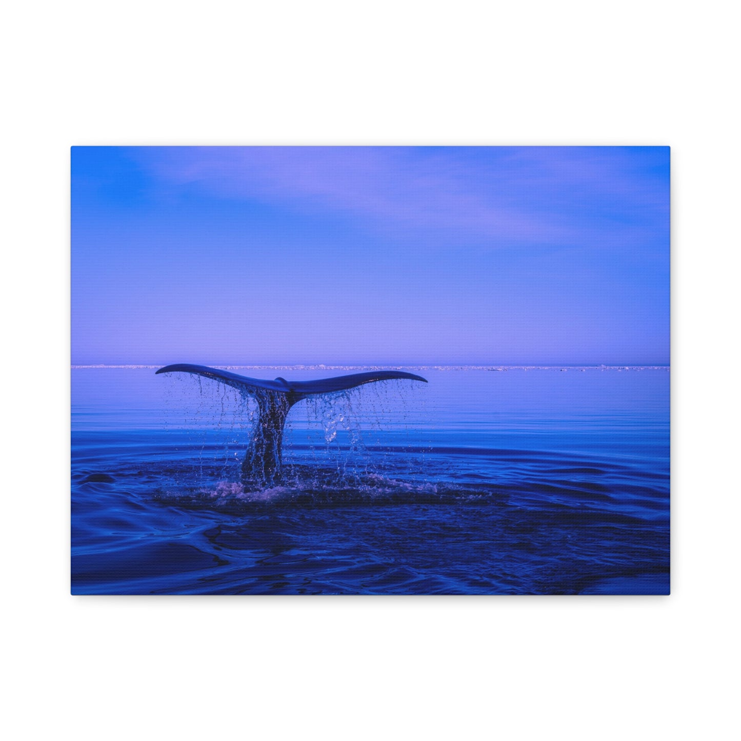 Whale Tail Matte Canvas Print — Ocean Sunset Wall Art