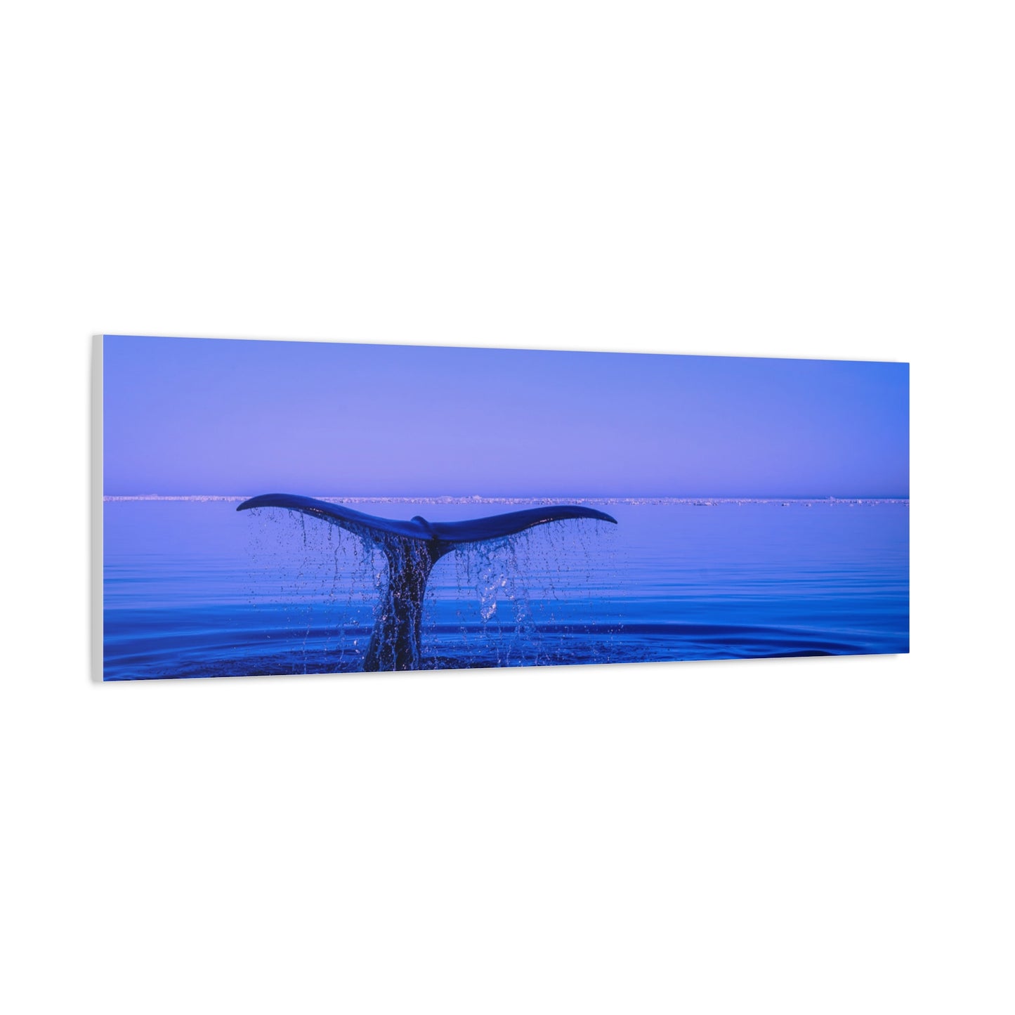 Whale Tail Matte Canvas Print — Ocean Sunset Wall Art